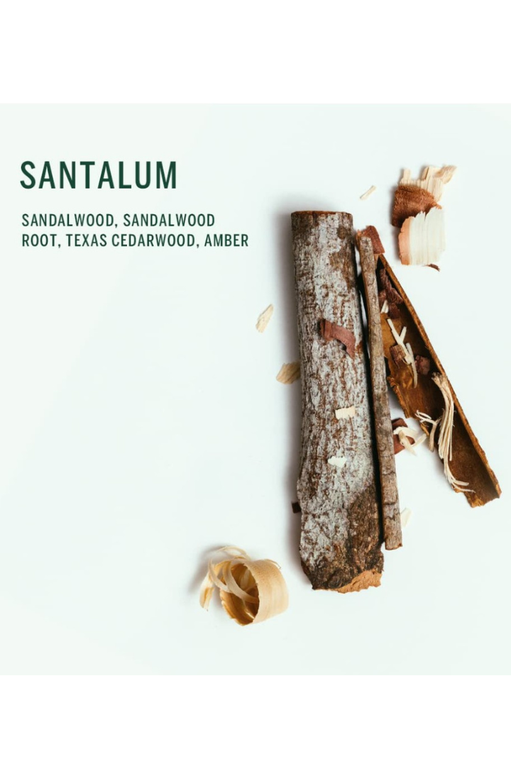 Deodorant Santalum