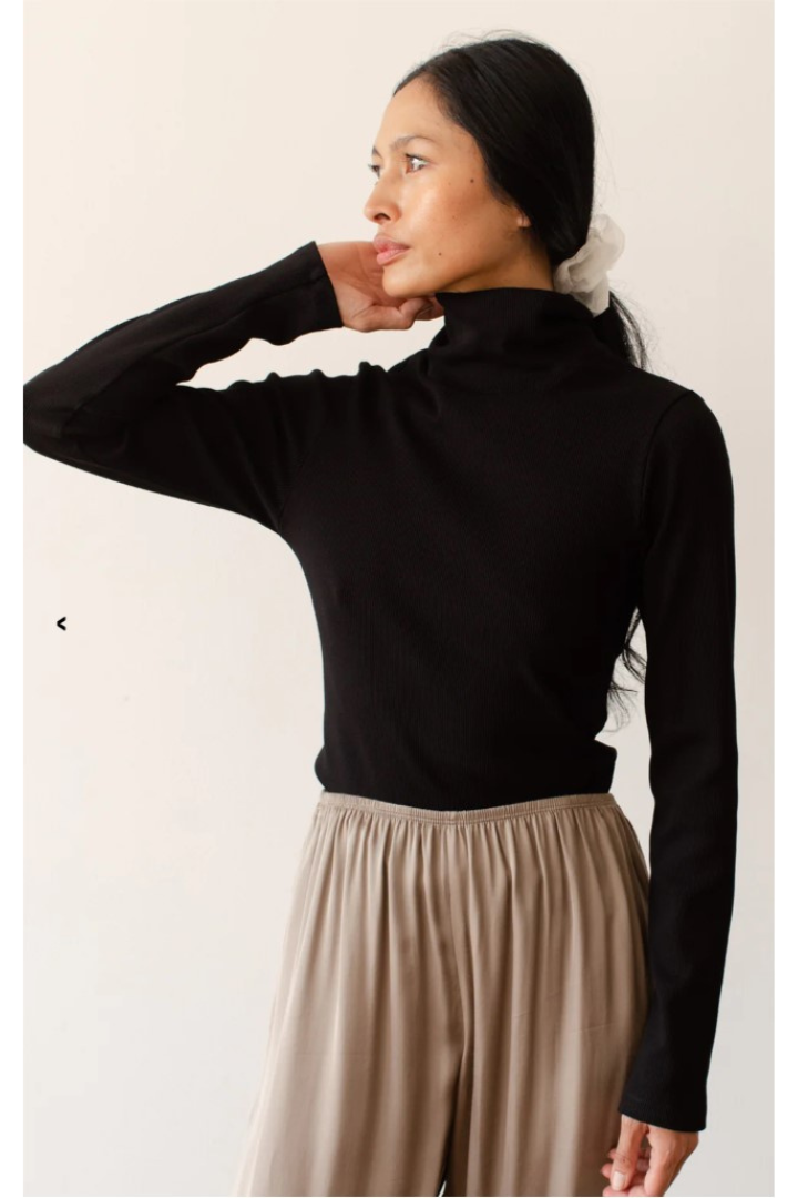 Rib Knit Turtleneck