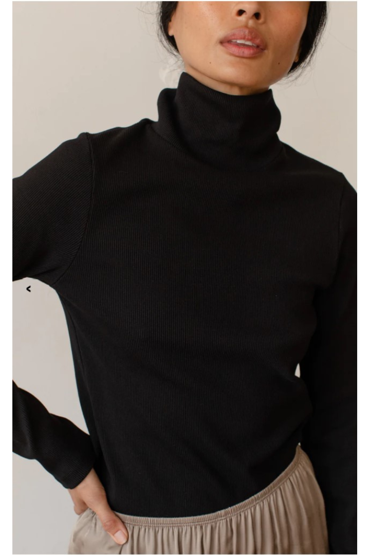 Rib Knit Turtleneck