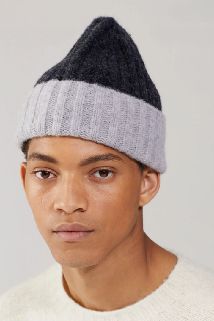 Daul Tone Beanie