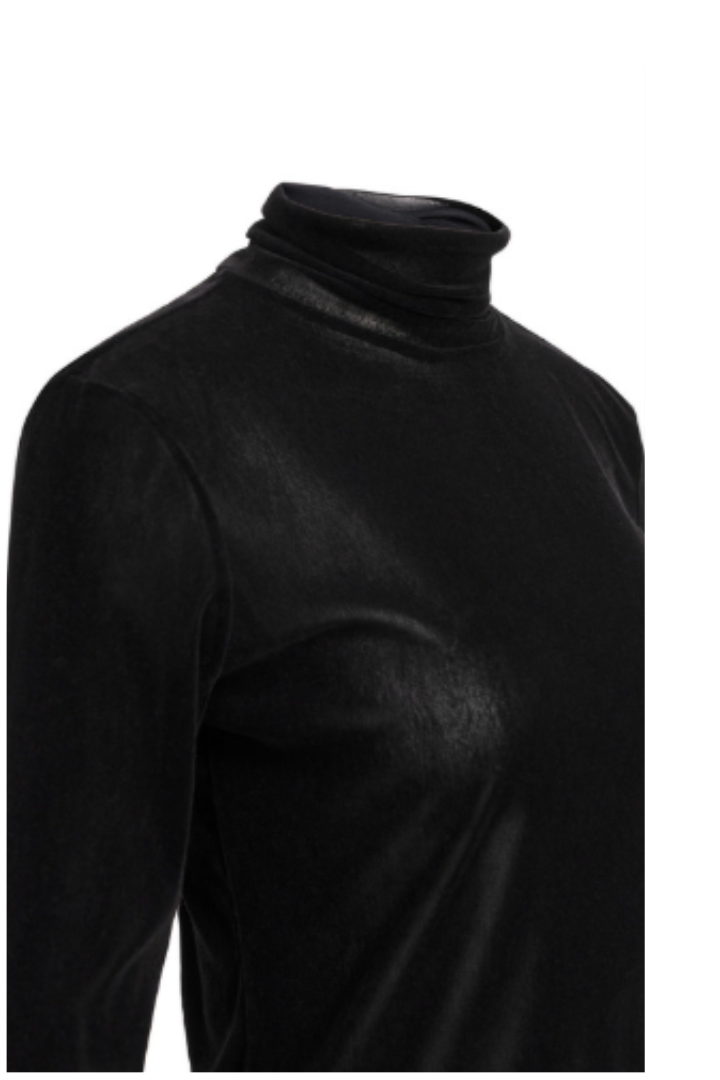 Velvet Turtleneck